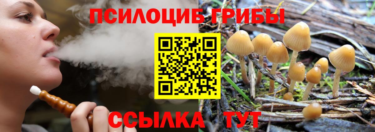 Псилоцибиновые грибы ЛСД  Вход с VPN  Еманжелинск 